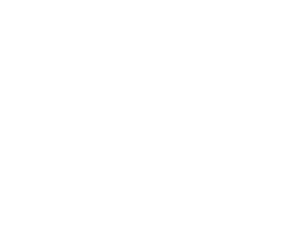 JetBov