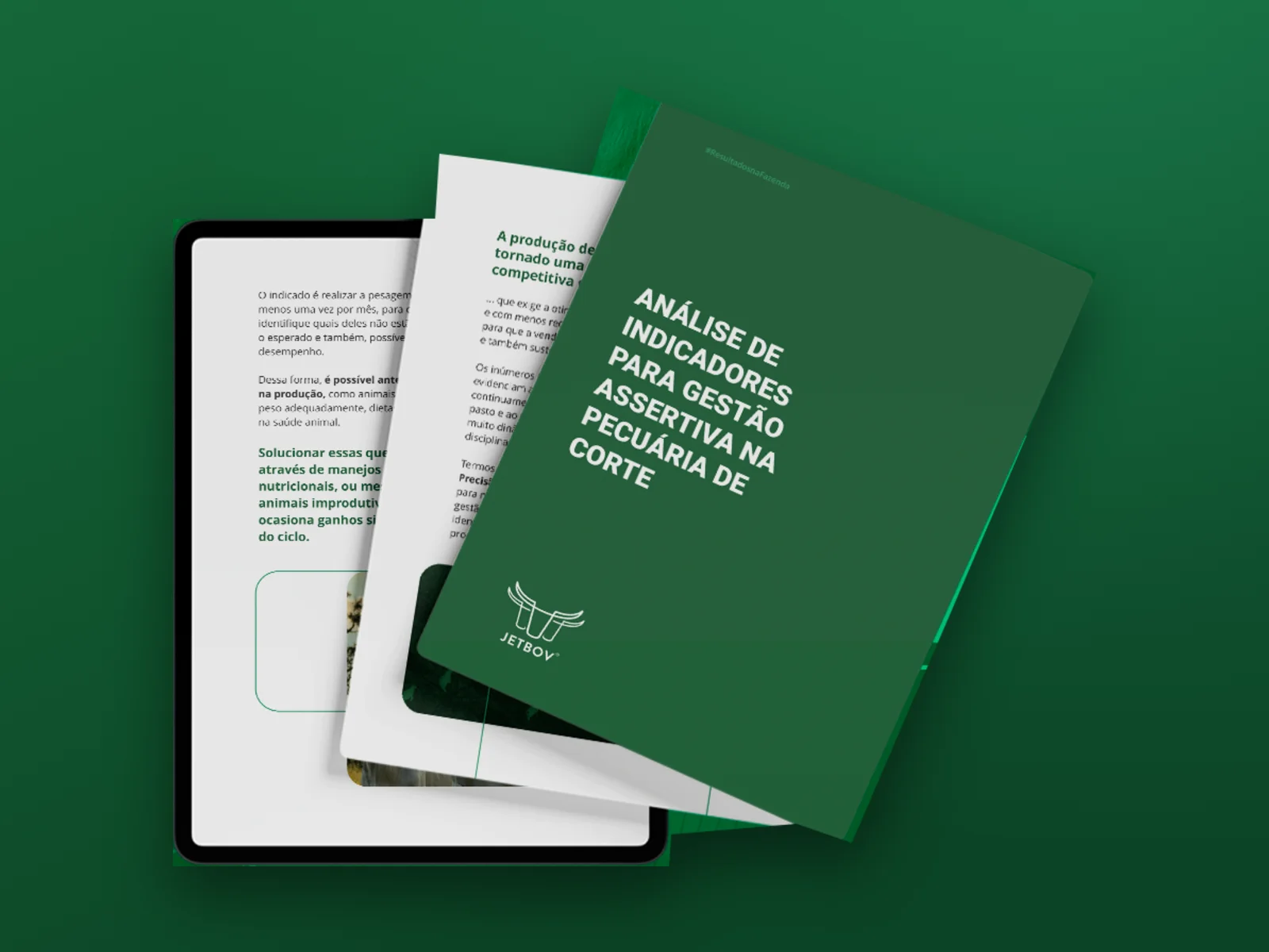 E-book: Análise de indicadores para gestão assertiva na pecuária de corte