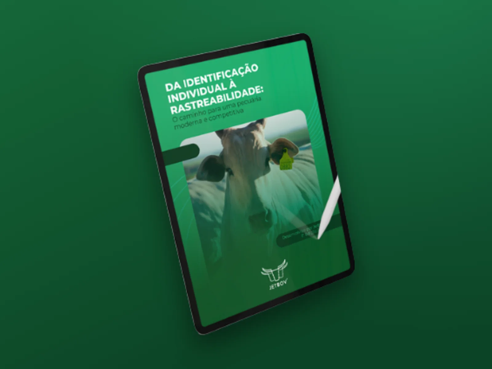 E-book: Da identificação individual à rastreabilidade: o caminho para uma pecuária moderna e competitiva